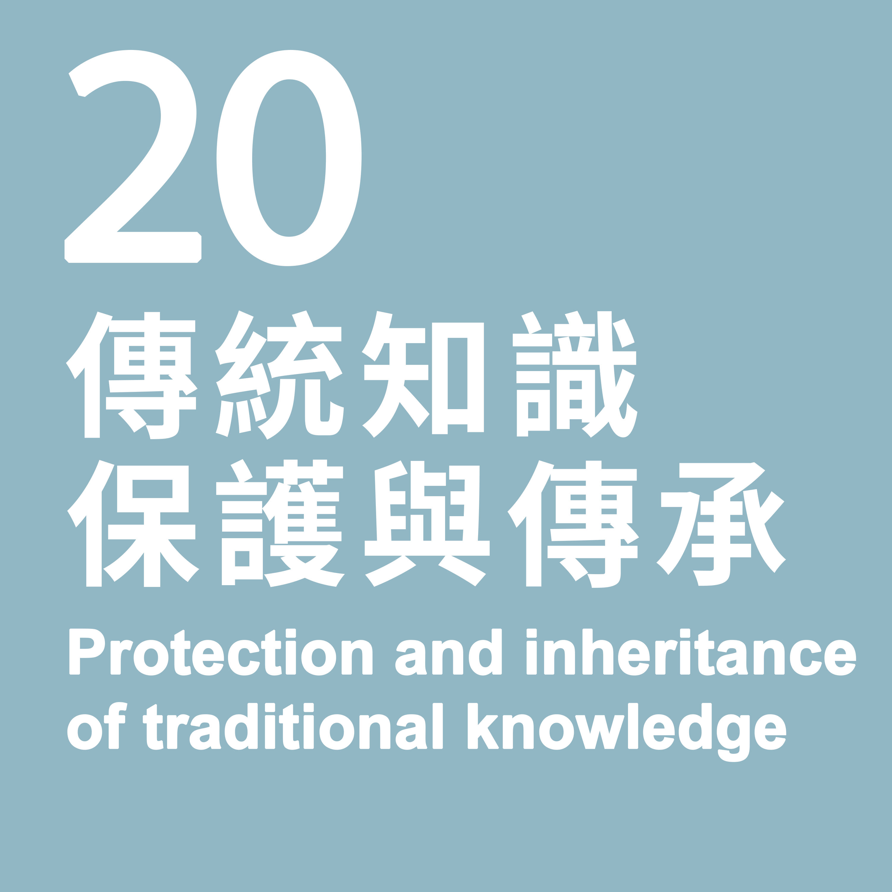 20. Protection and inheritance of traditional knowledge